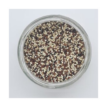 Quinoa Tricolor